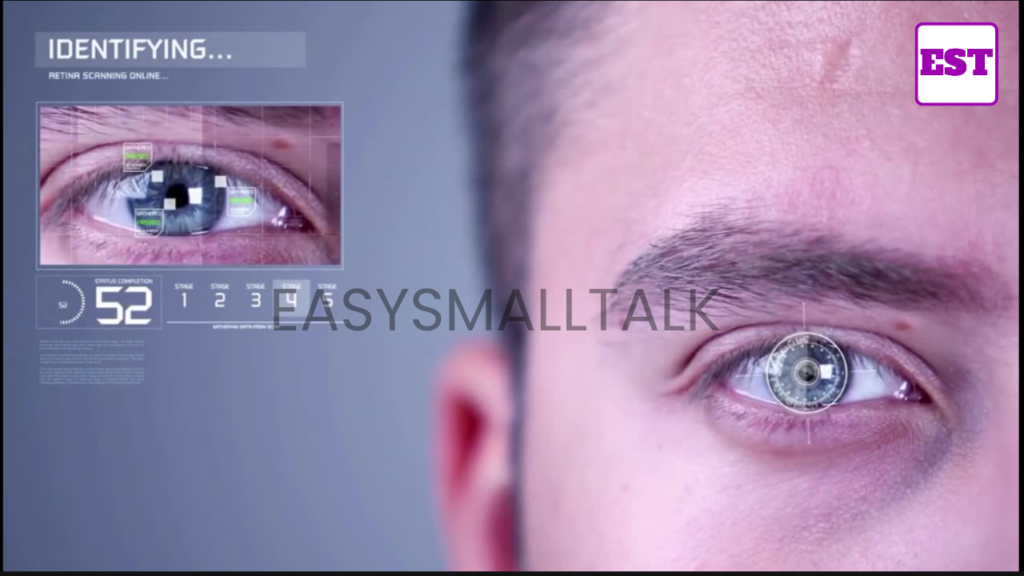 Visual structure of the iris scanning