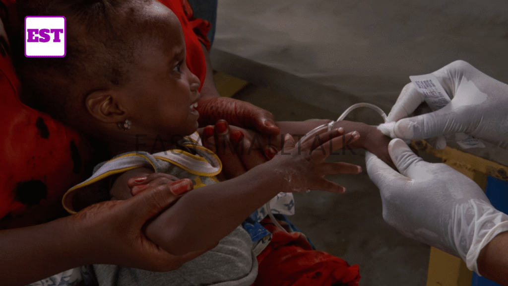 Cholera Outbreak in Borno State In 2026