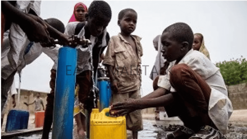Cholera Outbreak in Borno State In 2026