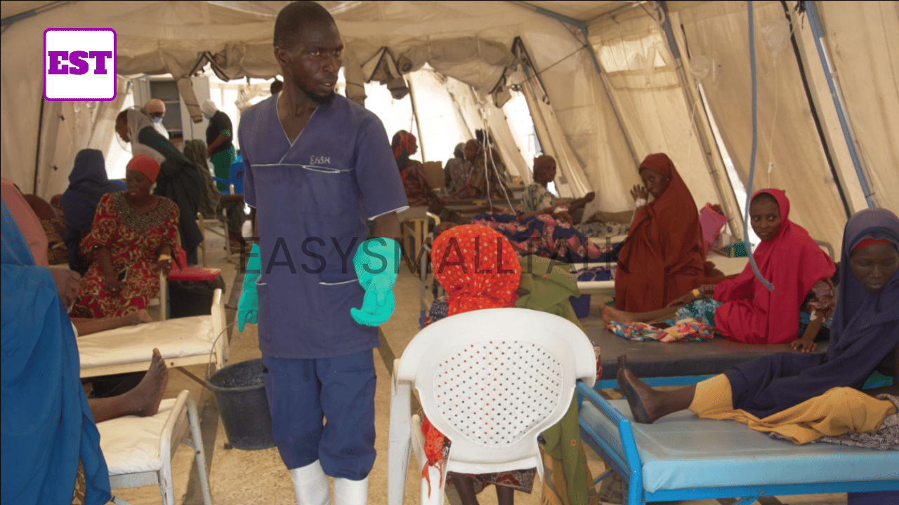 Cholera Outbreak in Borno State In 2026